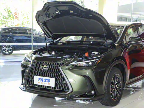 2025�� 350h JOY X