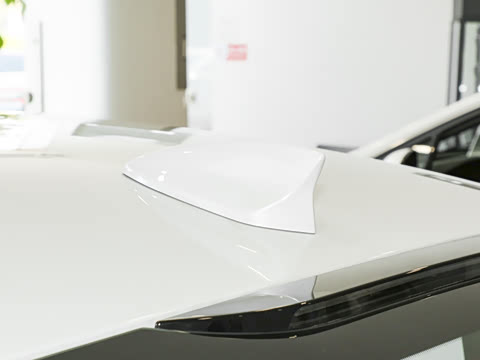 2025�� 28T ������