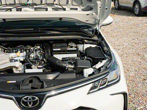 2025�� 1.2T �ȷ��