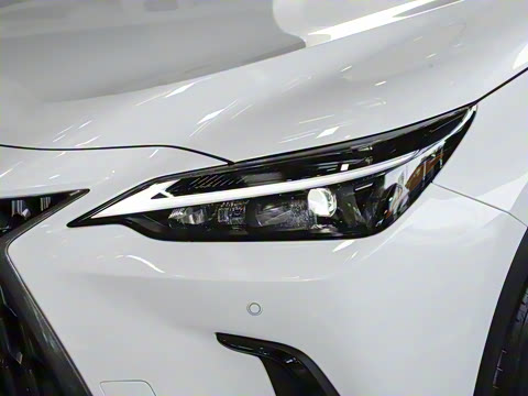 2025�� 350h JOY X