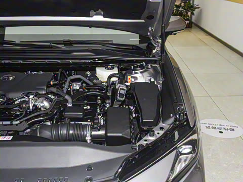 2026�� ˫�� 2.5HXS �˶�Plus��