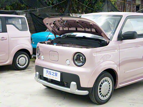 2025�� ������