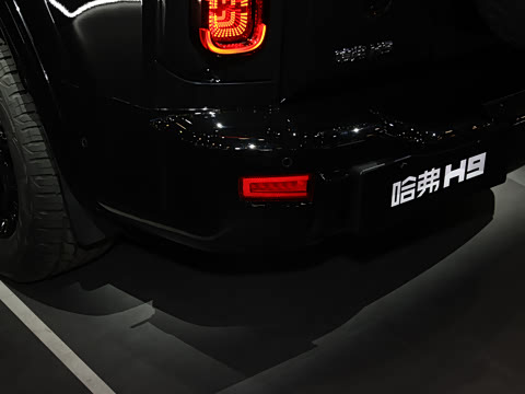 2025�� 2.4T ����������ʿ��