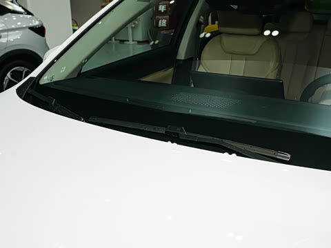 2026�� DM-i 220KM׿Խ��