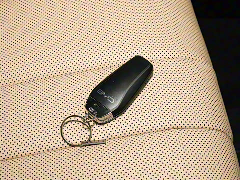 2026�� DM-i 220KM׿Խ��