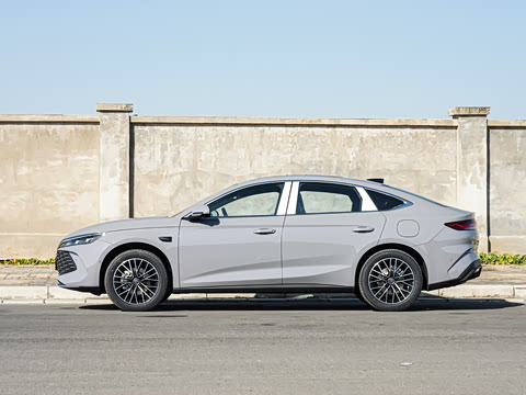 2026�� DM-i 210KM������