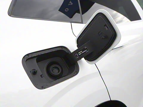 2026�� ������������Plus