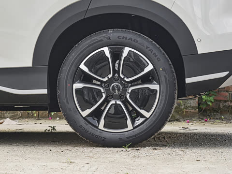 2026�� DM-i 305�Ǻ���