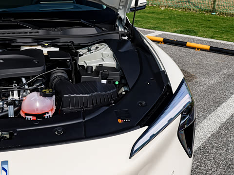 2025�� ��ά��