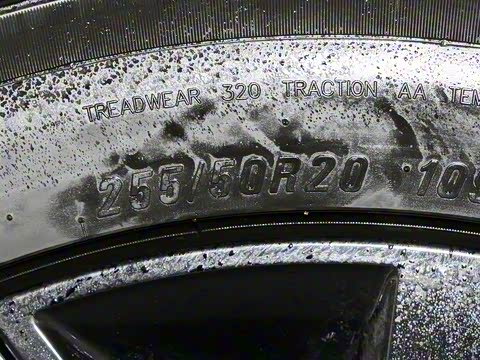 2025�� Ǭ�� Max 5��