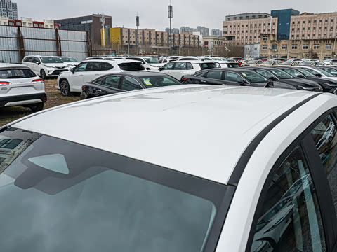 2026�� ˫�� 2.0L ������Ӣ��