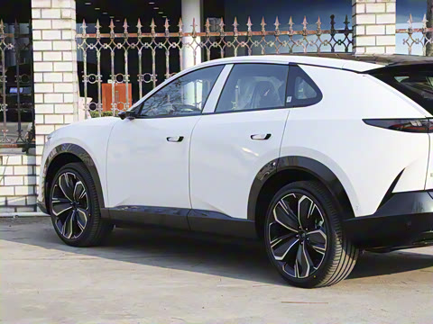 2025�� ����600 Max