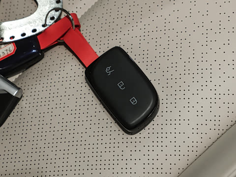 2025�� 530km ����Pro