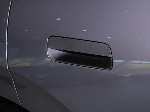 2025�� 530km ����Pro