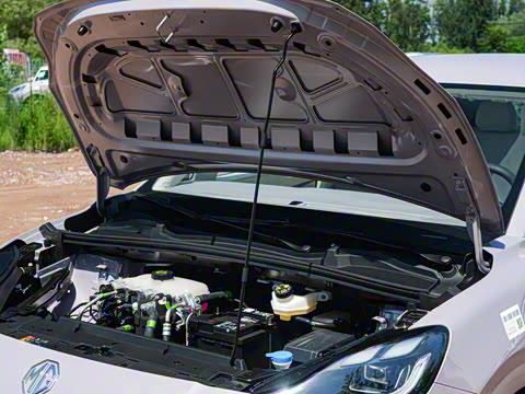 2026�� 437 ���İ�