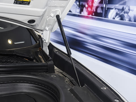 2026�� ����������