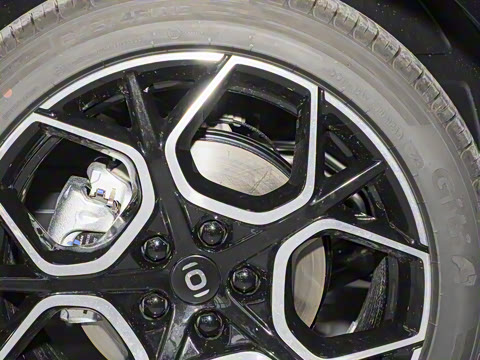 2026�� �����������̰� 310�콢��