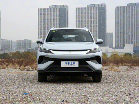 2026�� DM-i 133KM��ȡ��