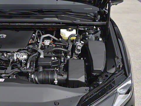 2026�� ˫�� 2.0HS �˶���