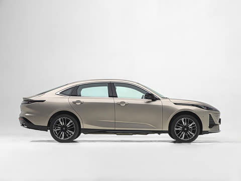 2026�� 1.5L ��϶���