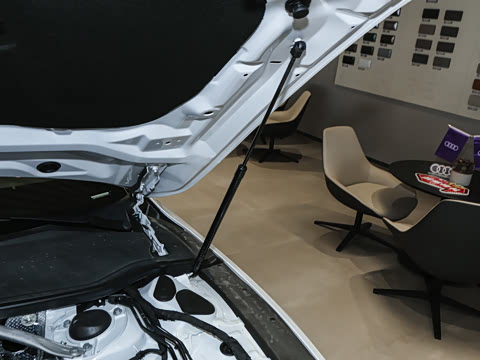 2025�� 45 TFSI quattro ������