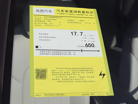 2025�� EV �������������