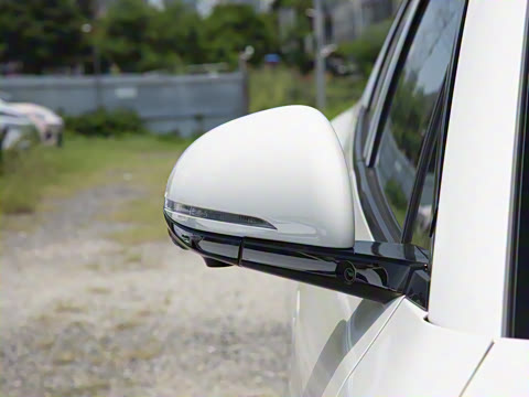 2025�� DM-i 121�캽��