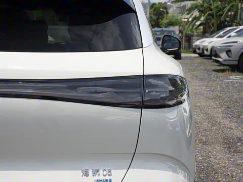 2025�� DM-i 121�캽��