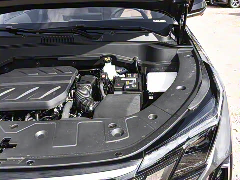 2025�� 500Bar MAX