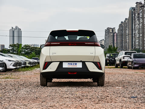 2026�� 305km ������