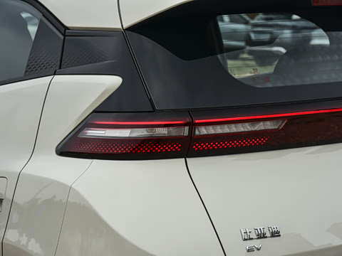 2026�� 305km ������