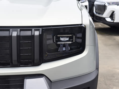 2026�� 2.0T XWD ��Խ