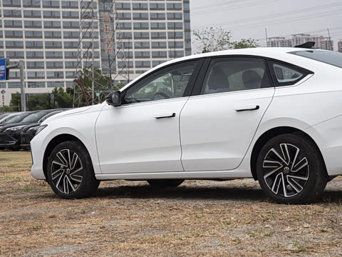 2026 Pro 300TSI ǿݰ