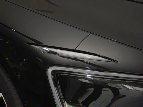 2026�� Max �����