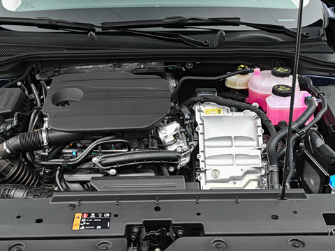 2026�� 205km ������ 
