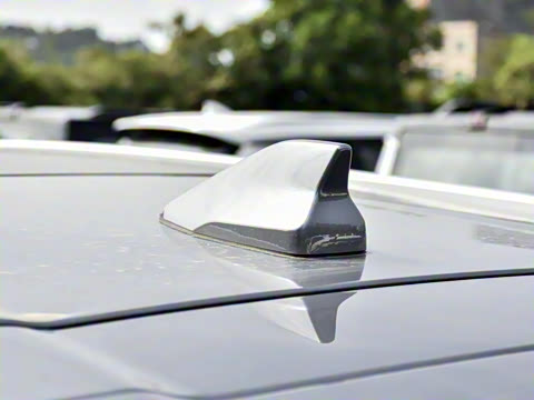 2025�� 290T ��������+