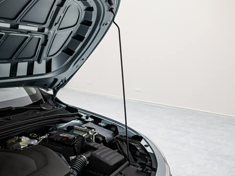 2026�� 1.5L �����