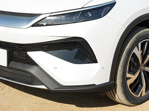 2026�� DM-i 220KM��Խ��