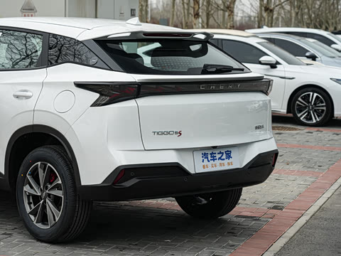 2026�� �˶������