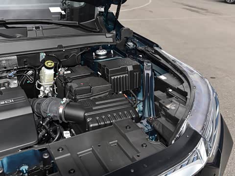 2025�� 290T ��������+