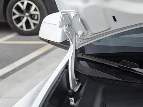 2026�� ����������