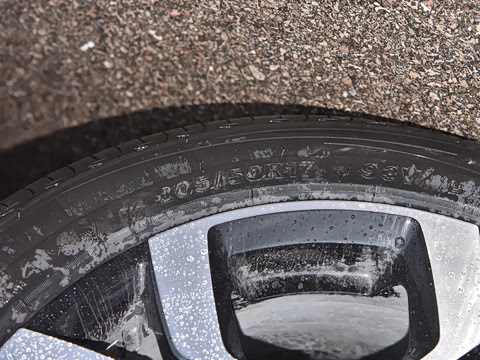 2026�� 530 ��Ȥ��