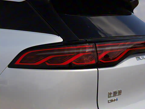 2025�� �Ǽݰ� DM-i 175KM �����