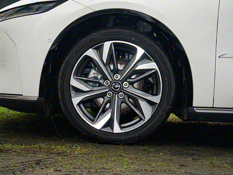 2026�� ����200 Pro