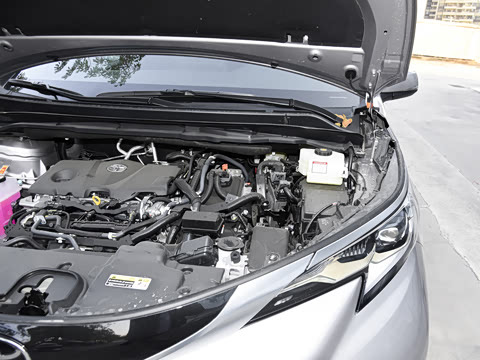 2026�� 2.5L�춯 ������