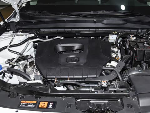 2026�� 2.5L ���а�