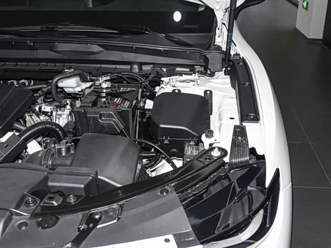 2026�� 2.5L ���а�