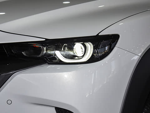 2026�� 2.5L ���а�