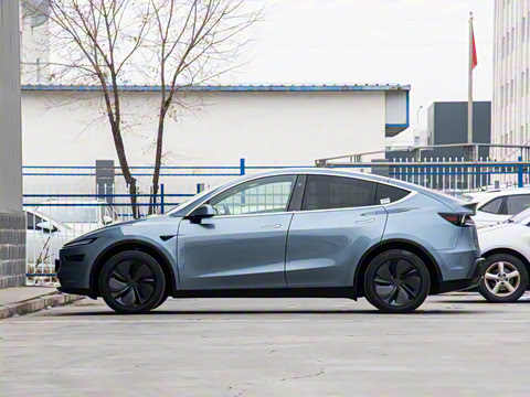 2026�� ����������������