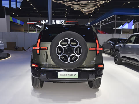 2025�� Pro